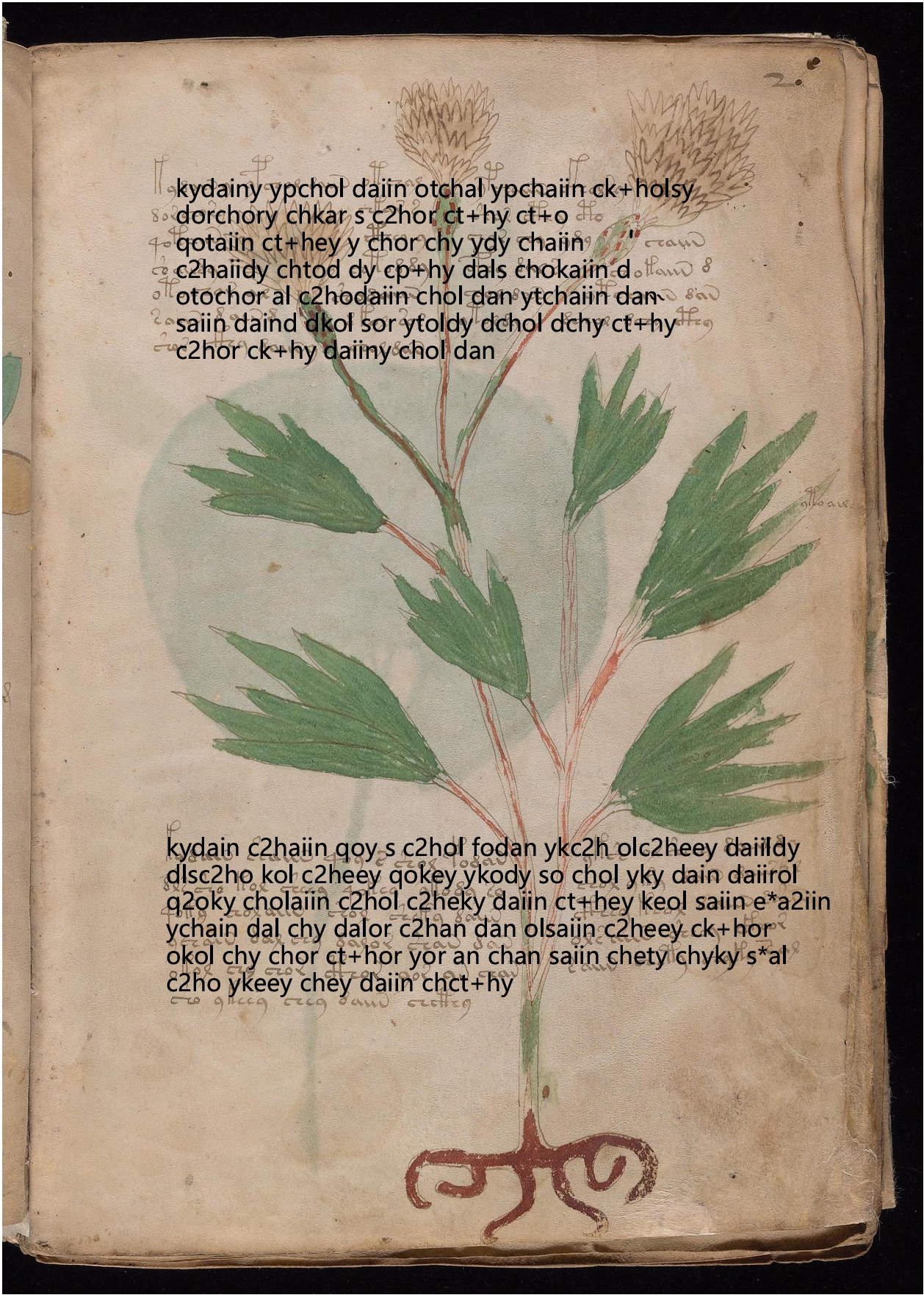 Folio 2r glyph overlay on parchment